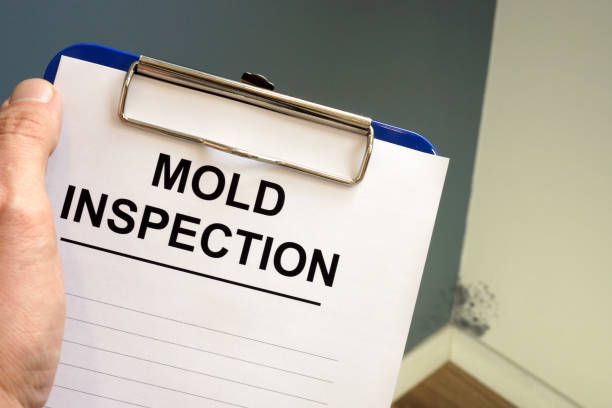 Best Mold Prevention Services  in Jennings, MO